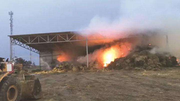 الطائرات الورقية الحارقة الفلسطينية مصدر قلق للإحتلال الاسرائيلي الخبر اليمني