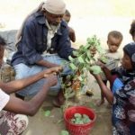 20 صورة تبين لك أن اليمن يعيش أكبر مأساة إنسانية في العالم التحالف