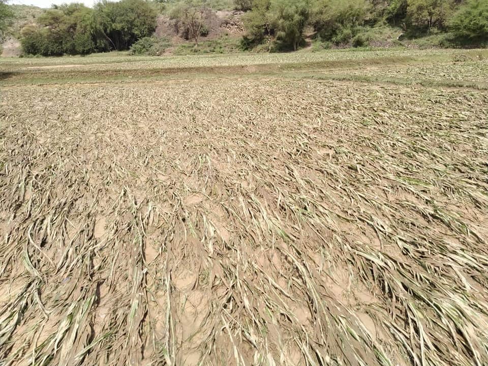 وفاة 13 شخص وتضرر مئات المنازل والمزارع جراء سيول الأمطار في الحديدة (صور) الحديدة