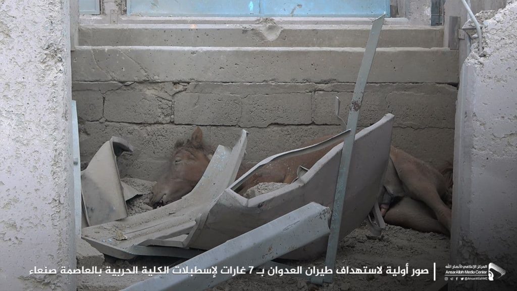 صنعاء تكشف حصيلة ضحايا غارات التحالف خلال الساعات الماضية (صور) استهداف الخيول العربية الأصيلة