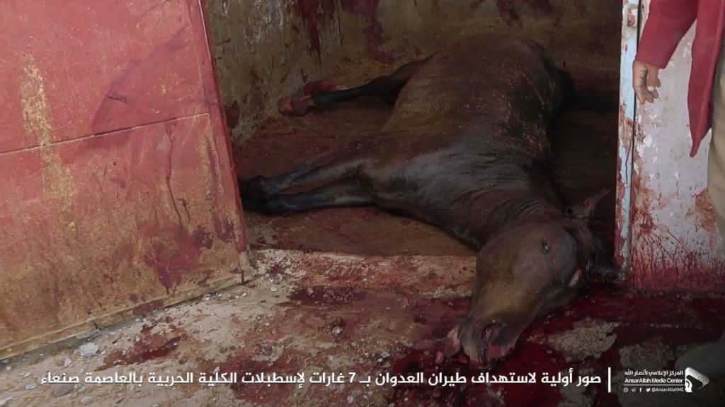 صنعاء تكشف حصيلة ضحايا غارات التحالف خلال الساعات الماضية (صور) استهداف الخيول العربية الأصيلة