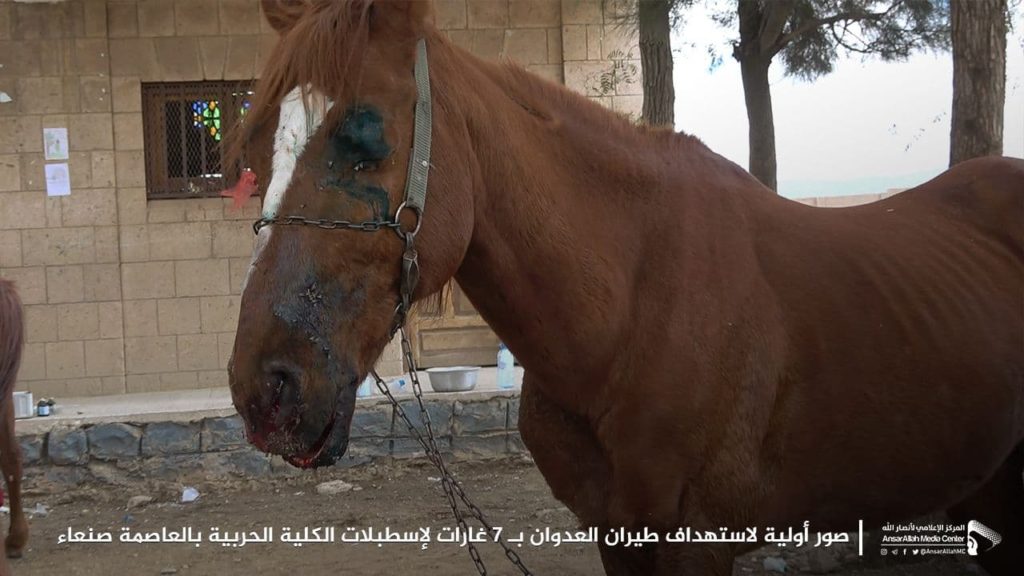 صنعاء تكشف حصيلة ضحايا غارات التحالف خلال الساعات الماضية (صور) استهداف الخيول العربية الأصيلة