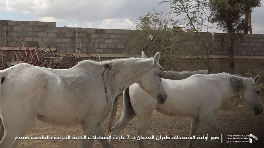 صنعاء تكشف حصيلة ضحايا غارات التحالف خلال الساعات الماضية (صور) استهداف الخيول العربية الأصيلة