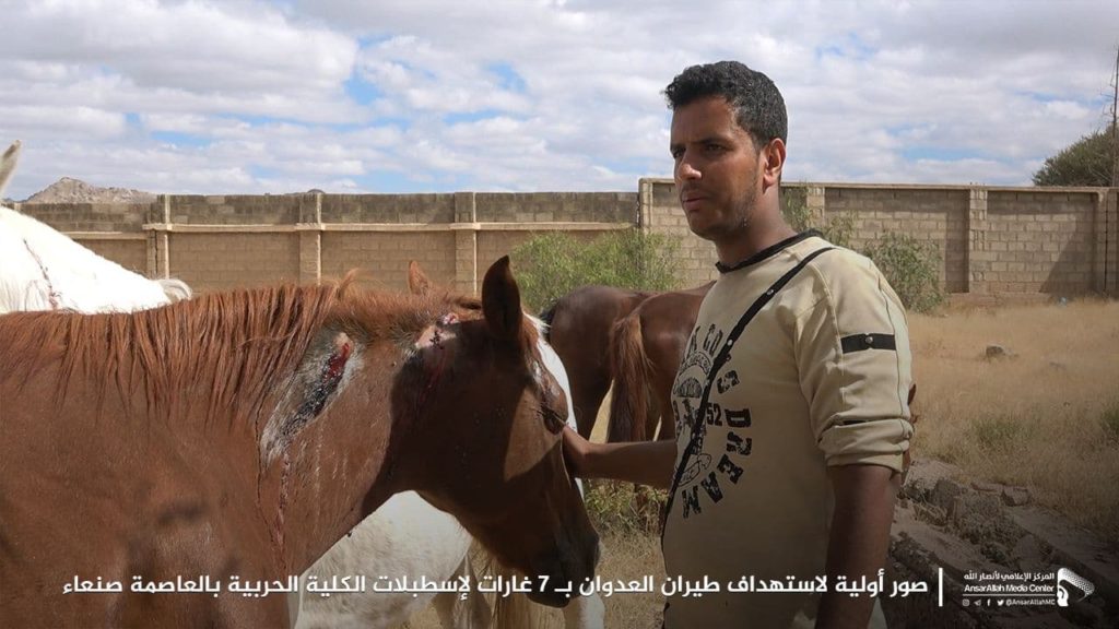 صنعاء تكشف حصيلة ضحايا غارات التحالف خلال الساعات الماضية (صور) استهداف الخيول العربية الأصيلة