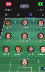 البرازيل والنرويح 